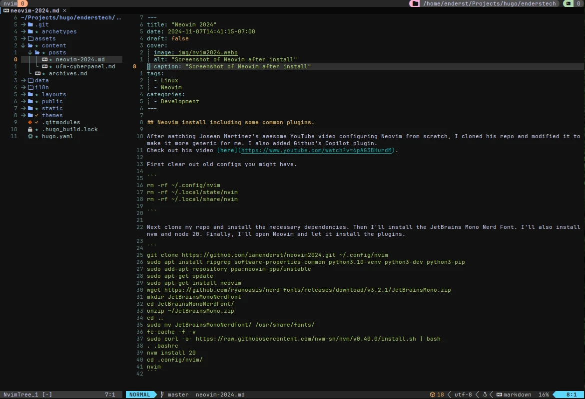 Screenshot of Neovim after install